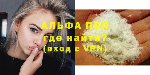 ПСИЛОЦИБИНОВЫЕ ГРИБЫ Козловка