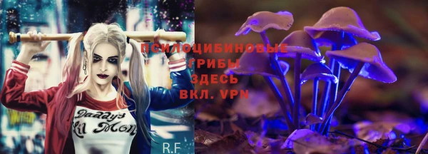 гидра Балабаново